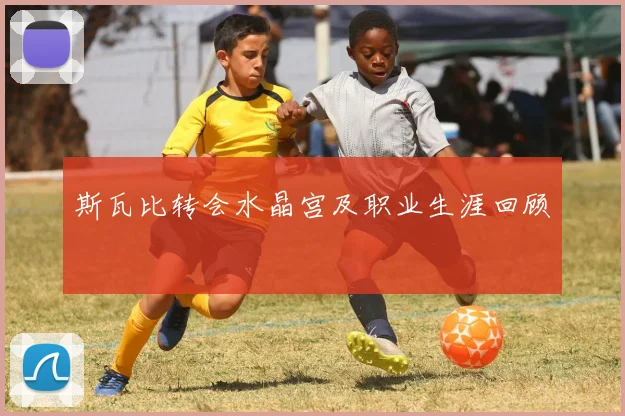 斯瓦比转会水晶宫及职业生涯回顾