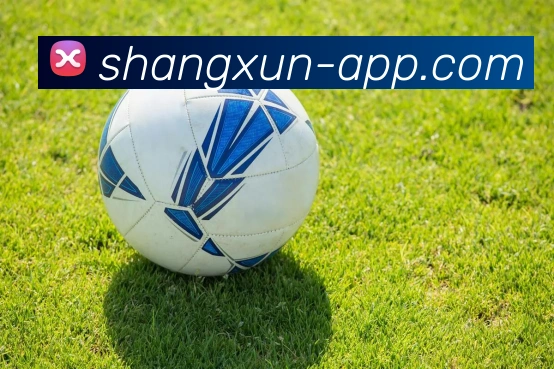 开云Kaiyun下载全站App 开云Kaiyun下载全站App